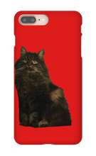 katten23cool iPhone Phone Cases