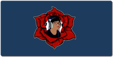 WiseRose XXL Gaming Mousepad