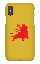 babylonfallsoundsystem iPhone Phone Cases