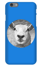 GraySheep  iPhone Cases