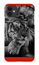 swyzz_jolino iPhone Phone Cases