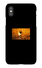Aidan Rockel-Bigus iPhone Phone Cases