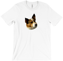 Disapproving T-Shirts