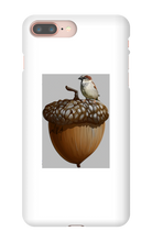 birds_and_squirrels iPhone Phone Cases