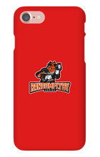 randomflybygaming iPhone Phone Cases