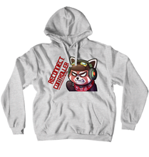 Reconnect Controller's Hoodie (No-Zip/Pullover)