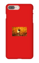Aidan Rockel-Bigus iPhone Phone Cases