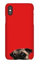 pugzzz iPhone Phone Cases