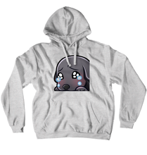 Hoodies (No-Zip/Pullover)