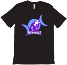 ladywindstorm T-Shirts
