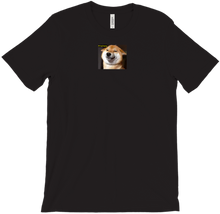 discjockeydoge T-Shirts