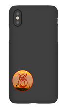 jl016 iPhone Phone Cases