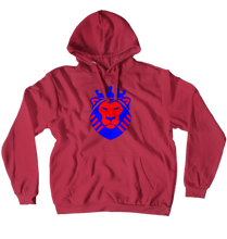 theprofessorparty Hoodies (No-Zip/Pullover)