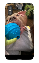 doggoasmr iPhone Phone Cases