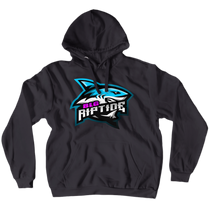 Hoodies (No-Zip/Pullover)
