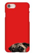 pugzzz iPhone Phone Cases