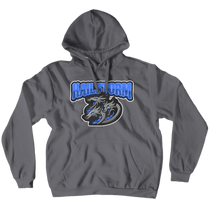 hailstormgaming Hoodies (No-Zip/Pullover)