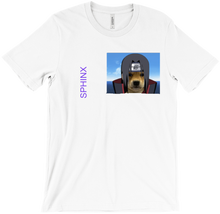 david_sphinx T-Shirts