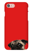 pugzzz iPhone Phone Cases