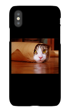 Funny Taco Cat Iphone Case
