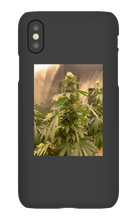 Hard On iPhone Case