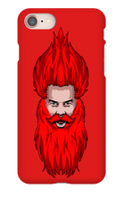 Beard case