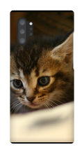 pamplemousse2stv Samsung Phone Cases