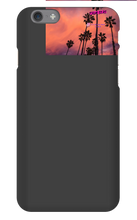 palm seas limited case