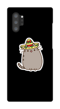 Kitty Tako Case