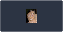 Mauspad
