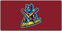 opllamapinata XXL Gaming Mousepad