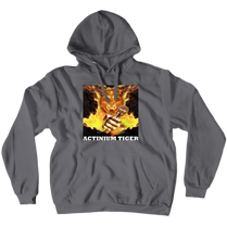 ac1382 Hoodies (No-Zip/Pullover)