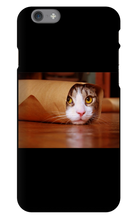 Funny Taco Cat Iphone Case