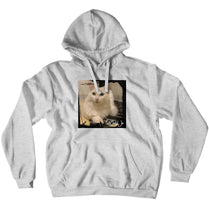 failchildjo Navi Hoodies (No-Zip/Pullover)