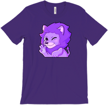 danichezmusic T-Shirts