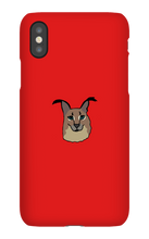 richer_rain iPhone Phone Cases