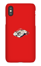 galaxydragon2332 iPhone Phone Cases