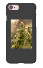 Hard On iPhone Case