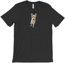 Shifu T-shirt