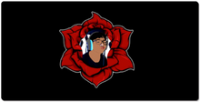 WiseRose XXL Gaming Mousepad