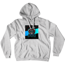 robingames05 Hoodies (No-Zip/Pullover)