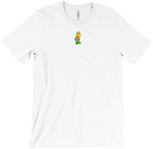 Koopa T