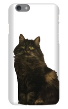 katten23cool iPhone Phone Cases