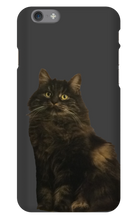 katten23cool iPhone Phone Cases
