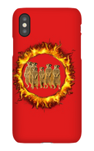 olha_o_suricata iPhone Phone Cases