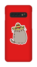 Kitty Tako Case