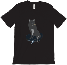 storminwolf-7088 T-Shirts