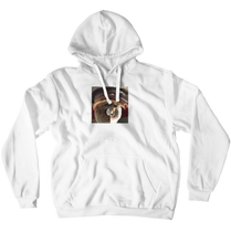 Hoodies (No-Zip/Pullover)