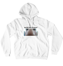 worlds best streamer hoodie