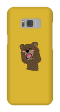 BEAR CASE